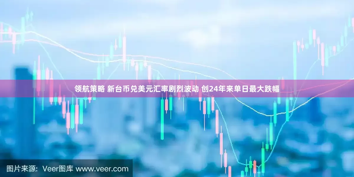 领航策略 新台币兑美元汇率剧烈波动 创24年来单日最大跌幅