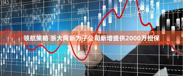领航策略 浙大网新为子公司新增提供2000万担保