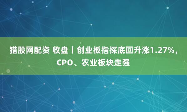 猎股网配资 收盘丨创业板指探底回升涨1.27%，CPO、农业板块走强